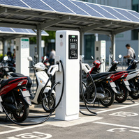 Estación de Carga para Motocicletas Eléctricas GEEFUTURE de 6kw, Doble Conector, Tarjeta RFID, Control Inteligente por Aplicación, Ocpp 1.6J CCS2 GB/T para Uso Comercial
