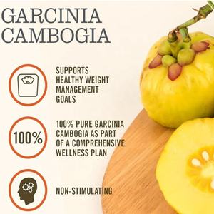 OEM Garcinia Cambogia (Suministro para 1 Mes) Garcinia Cambogia Pura 100% Extracto de HCA Concentrado al 60% - Product Image 3