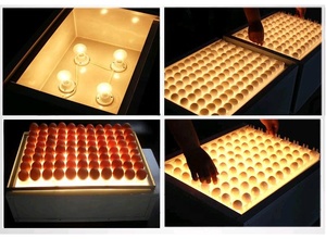 Teste de Ovoscopia Para Ovos Não Fertilizados e Fertilizados (Galo) 88, Luz de Ovoscopia para Incubadoras e Máquinas de Chocagem - Product Image 3