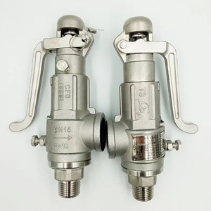 Válvula de seguridad de acero inoxidable Taizhou Guangyi A28W-16P, válvula de alivio de presión ajustable roscada para caldera de vapor y tanque de gas - Product Image 2