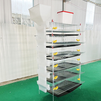 Nouvelles cages à batterie en treillis métallique galvanisé de qualité pour cailles pondeuses avec système d'abreuvement automatique pour la production d'œufs