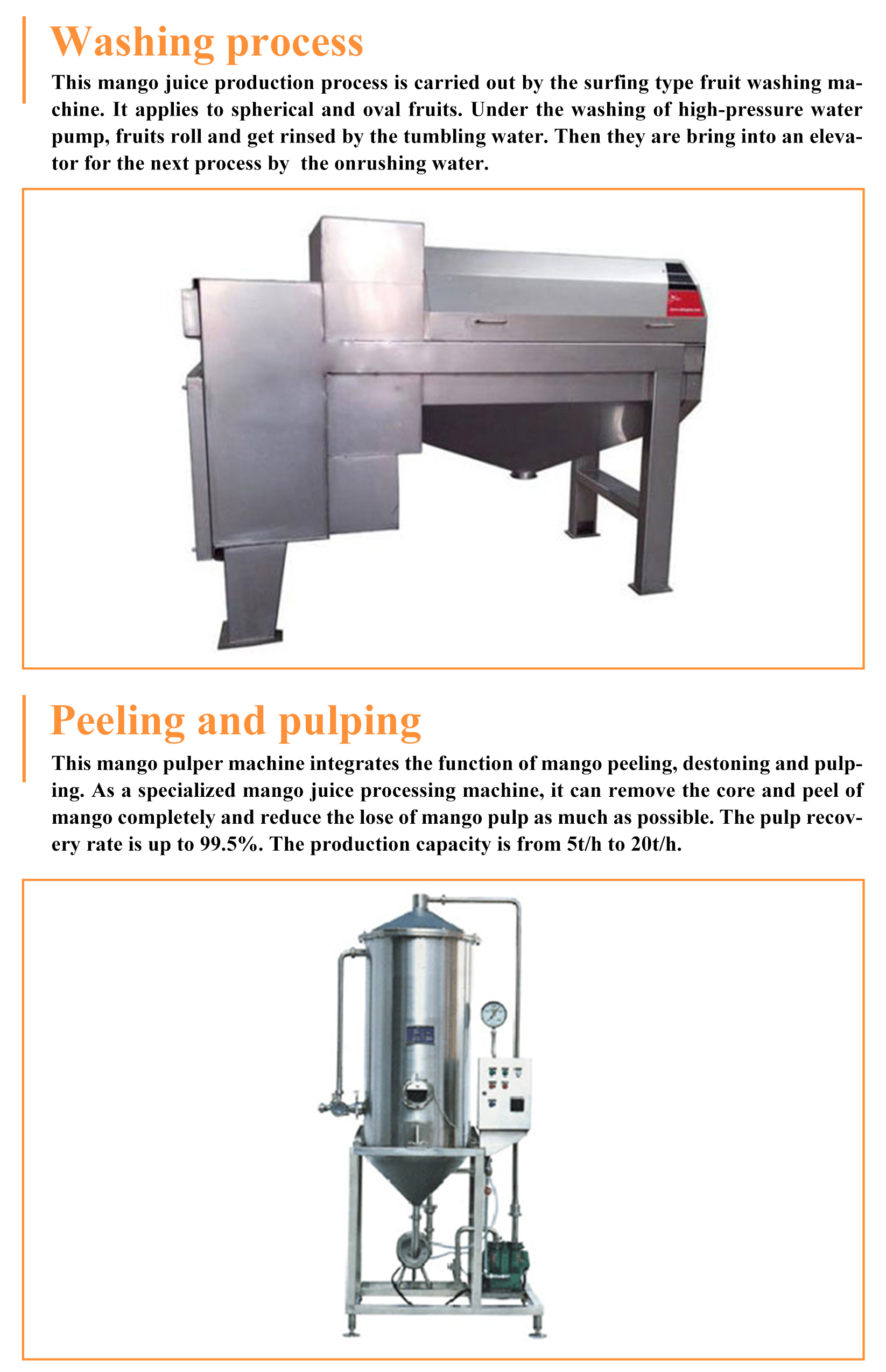 Complete Pineapple And Mango Juice Processing Line Automatic