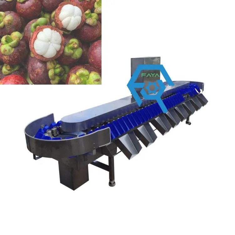 Professinal seafood weight sorting machine fish,shrimp,Oysters,Prawns,Scallops,Squid Weight selecting machine