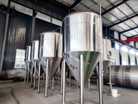 Fermenteur Unitank 2000L 4000L pour brasserie artisanale et cuve à double enveloppe en acier inoxydable
