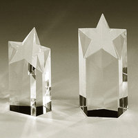 Trophée étoile en cristal pour la réussite des partenariats et les réalisations collaboratives