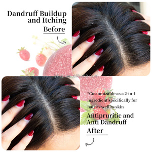 Shampoo Solido Naturale a Base di Erbe per <span class=keywords><strong>Capelli</strong></span> Ricci e Voluminosi, Controllo dell'Oleosità e della Forfora, Integratore di Vitamina C - Product Image 3