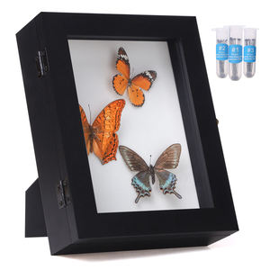 Caja expositora rústica <span class=keywords><strong>de</strong></span> madera negra envejecida con forma <span class=keywords><strong>de</strong></span> mariposa, con cerradura y protección UV, para exhibir especímenes <span class=keywords><strong>de</strong></span> insectos con alfileres, ideal para decoración del hogar. - Product Image 2