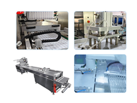 Machine d'emballage automatique multifonctionnelle sous blister avec emballage en papier | GST Brand for Electronics & Daily Chemicals