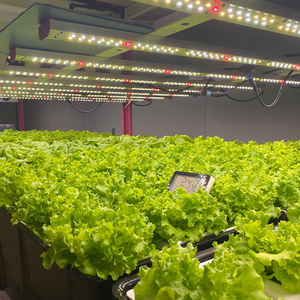 Table de culture commerciale mobile pour culture hydroponique intérieure Plateau de culture vertical Bancs roulants Table de culture - Product Image 1