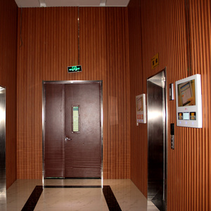 Panneau mural décoratif extérieur pour façade de <span class=keywords><strong>maison</strong></span> préfabriquée - Product Image 3