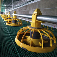 Nouveau design 2026 : Système de sol pour poulets de chair, Cage de batterie pour poules pondeuses, Abreuvoir à tétine pour poulets de chair