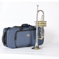 Factory Direct Sale Custom Cheapest High Quality Professional Brass Bb Trumpet Instrument