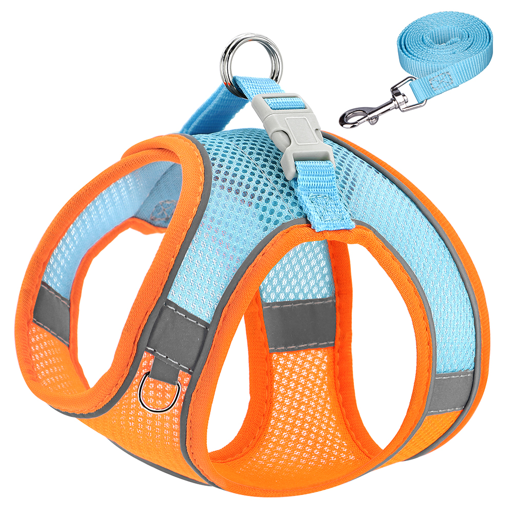 Orange avec bleu