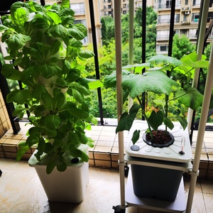 <span class=keywords><strong>30</strong></span> lỗ tháp thủy canh dọc hệ thống canh tác cho rau diếp bạc hà aeroponic tháp vườn dọc hệ thống cột thủy canh - Product Image 5