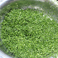 Cortadora de verduras de alta eficiencia, picadora eléctrica de cebolla verde, cortadora Industrial para cebolla verde