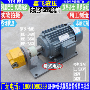 Unidad de Motor de Bomba de Engranajes Horizontal Xin Fei BB-B40 BB-B50 BB-B63 de Hierro Fundido para Lubricación de Máquinas Herramienta - Product Image 3