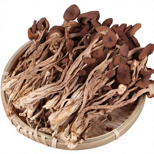 Polvo Concentrado <span class=keywords><strong>de</strong></span> Hongo Poplar Soluble Orgánico Natural <span class=keywords><strong>de</strong></span> Alta Calidad, Extracto <span class=keywords><strong>de</strong></span> Hongo Poplar - Product Image 2