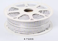 Vente en gros de bandes lumineuses LED haute tension 110V 220V SMD 2835 étanches à LED IP65 pour centres commerciaux décorations pour la maison