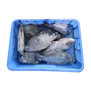 Chine poisson congelé tilapia poisson casher tilapia congelé spécification du poisson tilapia congelé