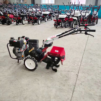 Mini-motoculteur diesel agricole Labobor pour la ferme, le jardin et les plantations