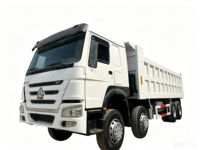 Camion benne HOWO 6x4 10 pneus d'occasion Sinotruk, capacité de charge 30-40t, 371HP, diesel, robuste et durable