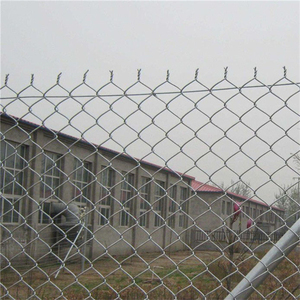 Rouleau de clôture galvanisé lourd / Clôture en treillis métallique revêtue de PVC - Product Image 3