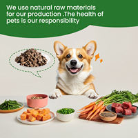 Compléments alimentaires pour renforcer l'immunité des chiens, comprimés à mâcher naturels à absorption rapide, renforcent le système immunitaire, soutien quotidien pour la santé