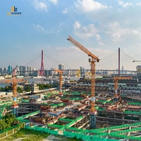 Grue à tour robuste de 3 à 20 tonnes avec flèche de 70 m à 75 m et système anti-collision pour la logistique de chantier naval