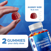 Gummies Probiotiques et Prébiotiques Sans Sucre OEM 5 Milliards de UFC Bacillus Coagulans Soutien Digestif Végétalien