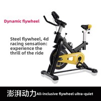 Bicicleta de Spinning Vertical para Ejercicio en Casa, Silenciosa, con Resistencia Magnética, Equipo de Rehabilitación, Metálica, Capacidad de 200 kg