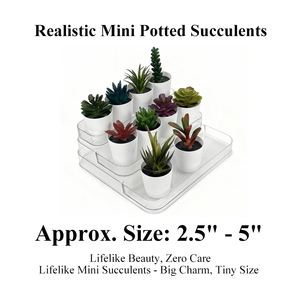 ミニPE人工多肉植物、環境に優しいプラスチック鉢植え、15cm、家の装飾用、人気の越境デスクトップバケツ、誕生日プレゼント - Product Image 4