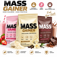 Poudre de gain de masse en gros, riche en protéines et en calories, supplément nutritionnel sportif, formule personnalisée OEM ODM sous marque privée
