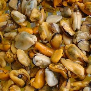 Neue Saison China Origin IQF Gefrorenes Muschel fleisch Frische Dun geness Krabbe mit Shell Premium Quality Wild Caught Muscheln - Product Image 6