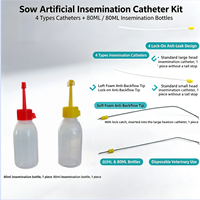Kit de Cathéters d'Insémination Artificielle pour Truies, Cathéters à Embout en Mousse Jetables avec Bouteilles d'Insémination de 80 ml pour Élevage Porcin