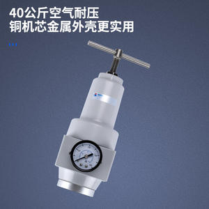 Equipo de Filtración Industrial de Alta Presión Personalizado Serie QSLH de 40 kg, Filtros de Alta Presión - Product Image 3