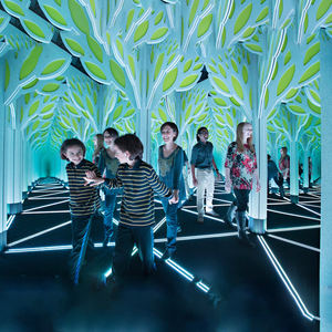 Fabriqué en Chine, équipement de labyrinthe magique à miroir incroyable, best-seller, à prix avantageux - Product Image 3