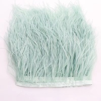 48 couleurs 8-10cm autruche plume garniture frange ruban tissu dentelle pour carnaval plume Costumes