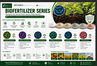 Bacillus Firmus Probiotique pour l'alimentation du bétail et de la volaille, additif alimentaire, Bacillus Firmus de qualité alimentaire pour préparation microbienne animale