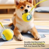 Jouet interactif pour chat, balle roulante automatique avec queue, rechargeable, jouet intelligent pour animaux de compagnie, souris intelligente pour chat