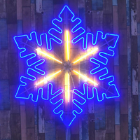 Novedades: Luz LED 2D con Forma de Copo de Nieve con Motivo de Destello Sincronizado para Navidad