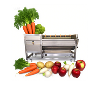 Industriële commerciële fruit- en groentewasmachine met motor en aandrijving, multifunctionele reinigingsapparatuur
