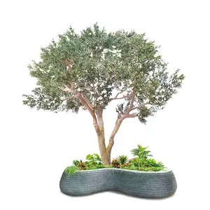 Großhandel Custom Height Große künstliche Olivenbaum Fiberglas Evergreen Big Size Natural Tree künstliche große Bäume