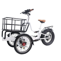 Vélo électrique quad avec cargaison vélo cargo électrique à longue portée pour gros chien avec vélo électrique rapide de 250W