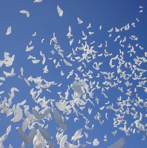 Venta caliente gran globo de papel de helio blanco paloma papel de mylar globo paz paloma globo de papel de aluminio para la decoración del banquete de boda - Product Image 6