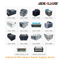 Alimentation micro-ondes 1250W à faible ondulation et haute stabilité pour équipements de plasma industriel et d'essai en laboratoire