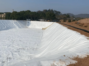 Géotextile industriel PET haute résistance anti-âge pour le renforcement routier, les infrastructures de construction, les barrages et les talus fluviaux - Product Image 5