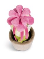 Peluche Fleur en Pot pour Animaux de Compagnie, Jouet en Peluche Doux en Forme de Fleur de Dessin Animé dans un Pot, Jouet Interactif pour Chiens et Chats
