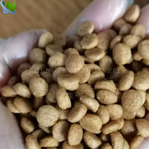 เครื่องผลิตอาหารเม็ดสำหรับสัตว์เลี้ยงแบบลอยเครื่องผลิตอาหารเม็ดสำหรับปลาสายการผลิตแบบเต็มรูปแบบเครื่องทำอาหารสุนัข - Product Image 5