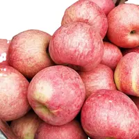 工場直接新鮮アップルフルーツ卸売業者輸出赤おいしいフルーツ新鮮アップル