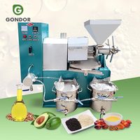 Presse à huile automatique pour tournesol et soja, machine à arachides mini de haute qualité, capacité 30 kg/h
